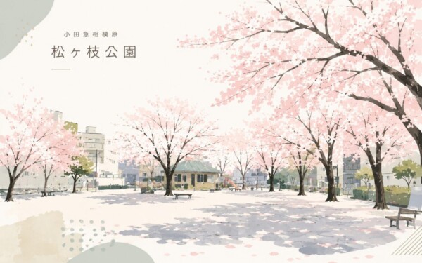 松が枝公園（相模原市南区松が枝町）でひとやすみ